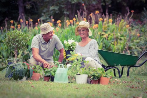 Eco-friendly lawn care practices in Battersea