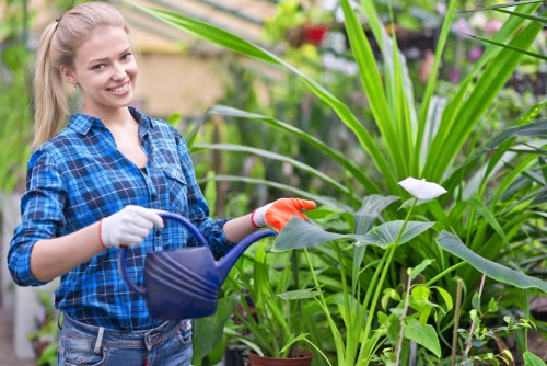 Eco-friendly garden maintenance practices in Battersea