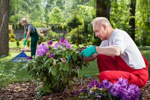 Team of garden maintenance professionals working in Battersea