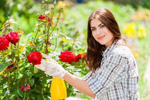 Comprehensive lawn care services in Battersea