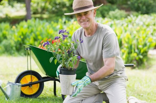 A mature man wearing a straw hat, grey t-shirt, and gardening gloves is kneeling on well-maintained green grass in an outdoor garden setting. He is smiling as he holds a small container filled with purple, red, and green flowering plants, suggesting active gardening work. Behind him, a bright yellow wheelbarrow with a black handle and an orange wheel is positioned on a paved or gravel path, indicating recent or ongoing garden maintenance. The background features a lush, green hedge or dense shrubbery, with mature trees and additional garden foliage providing shade and natural scenery. The overall scene is set in a bright, sunny day, highlighting the healthy and vibrant lawn area, which appears freshly mown and free of weeds. This image conveys professional gardening or lawn care, aligning with services provided by Lawn Mowing Battersea for residential outdoor spaces near Battersea.