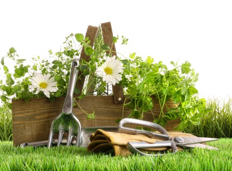Different types of lawn mowers available