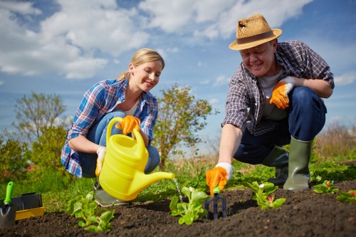 Professional lawn care services being performed in Battersea