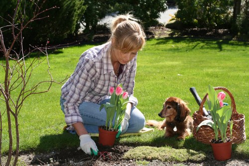 Community volunteers using recycled mulch in a local garden